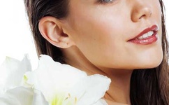 东京热的开场音乐